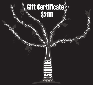 Product Image for Gift Certificate - $200